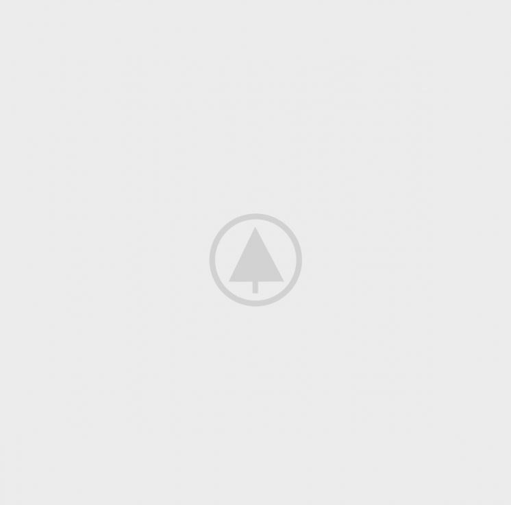 wood-gallery-placeholder-4 wood-gallery-placeholder-4